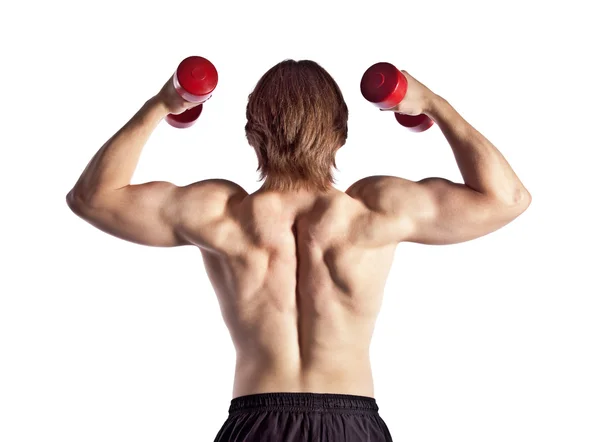 背中の筋肉 — ストック写真