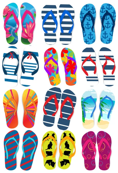 Vector illustration of different flip flops — Stock Vector