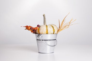 sonbahar dekorasyonları kova