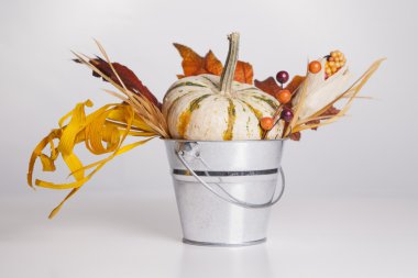 sonbahar kova taşan