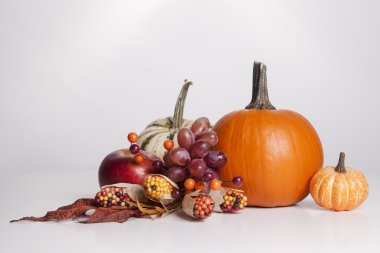 sonbahar görüntüleme