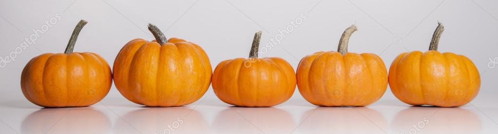 Orange Pumpkins In A Row Stock Photo Image By C Justinkendra Orange Pumpkins In A Row Stock Photo Image By C Justinkendra