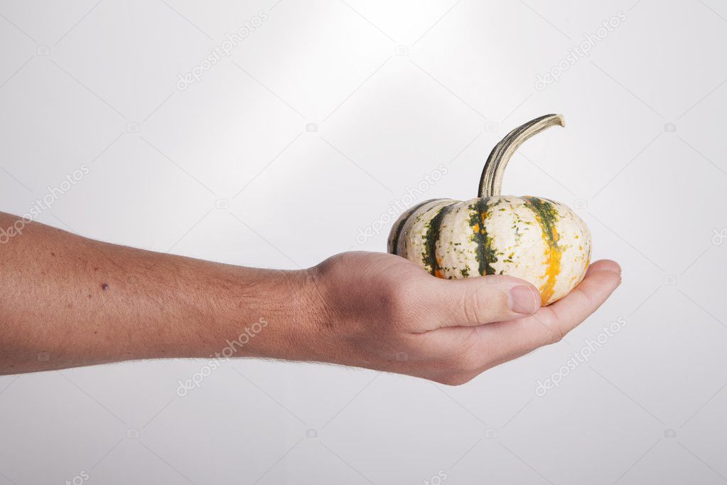 Hand Holding Gourd