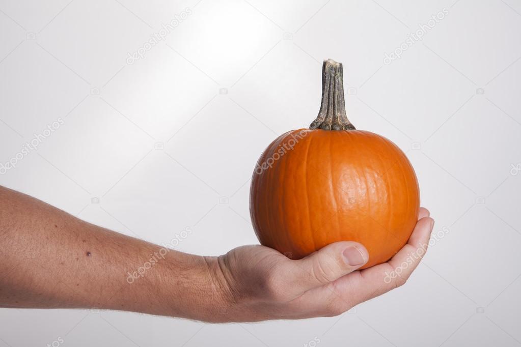 Hand Holding Big Orange Pumpkin