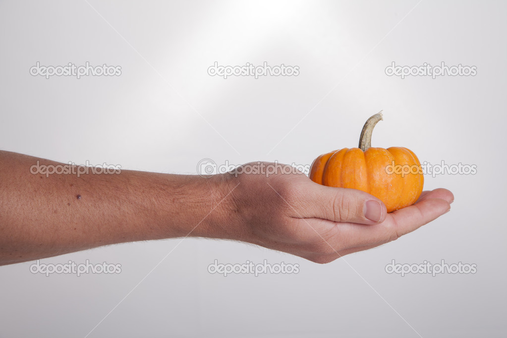Hand Holding Small Orange Pumpkin