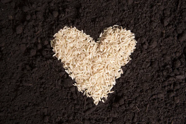Rice Heart on Dirt — Stock Photo, Image
