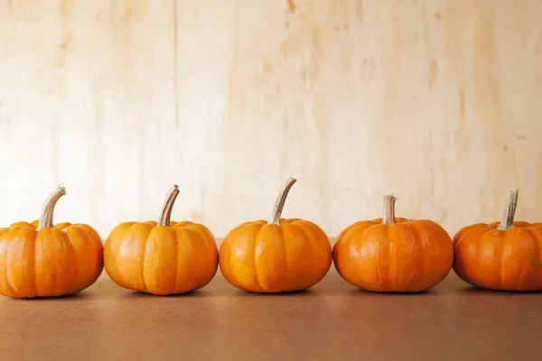 5 calabazas naranjas en fila — Foto de Stock