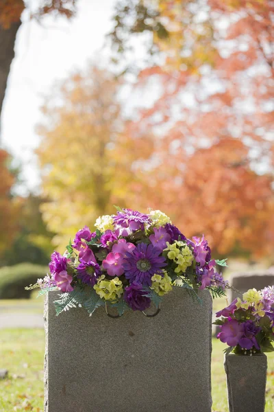 Sonbaharda mor mezar taşı çiçekler — Stok fotoğraf
