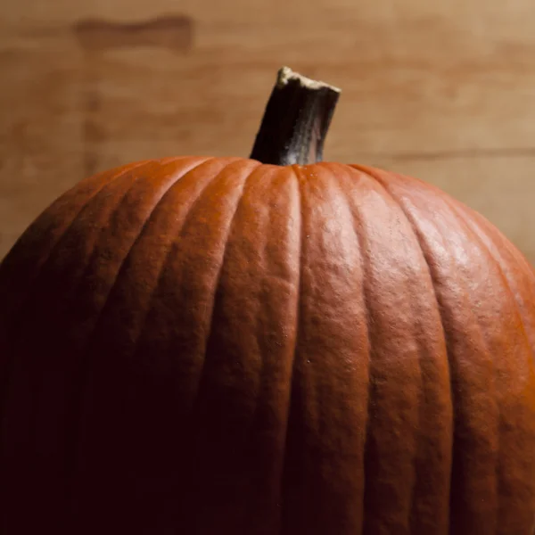 Caída calabaza de cerca —  Fotos de Stock