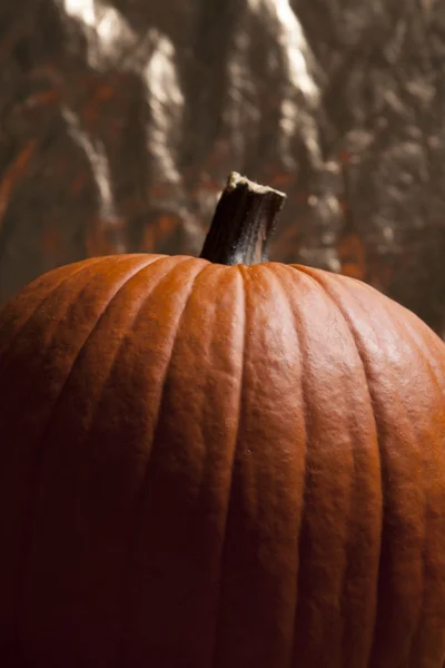 Pumpkin Close Up — Stock Photo, Image
