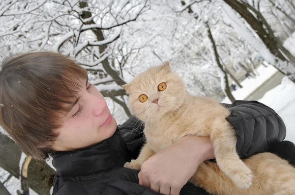Homem com Scottish Fold cat — Fotografia de Stock