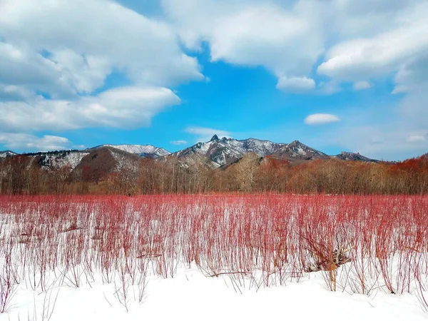 Winter Landscape Three Primary Colors Blue White Red — Zdjęcie stockowe