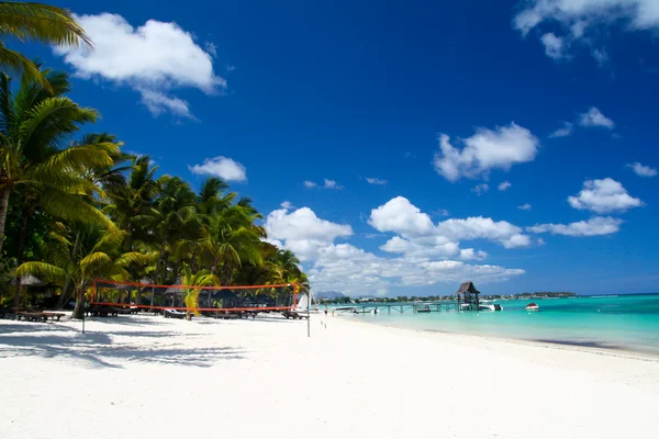 Tropisch strand met palmen — Stockfoto