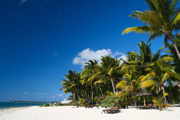 Playa tropical con barco y palmeras —  Fotos de Stock