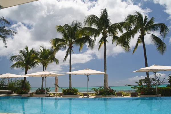 Hotel basen basen i palmy — Zdjęcie stockowe