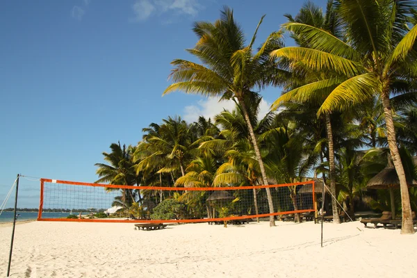 Cancha de voleibol bajo palmeras en la playa tropical — Foto de Stock
