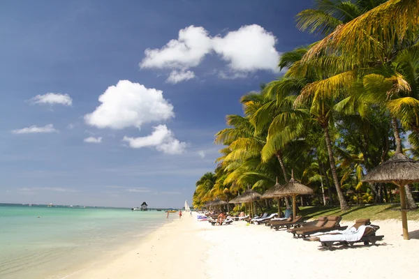 Plage tropicale avec sable blanc, palmiers et parasols — Photo