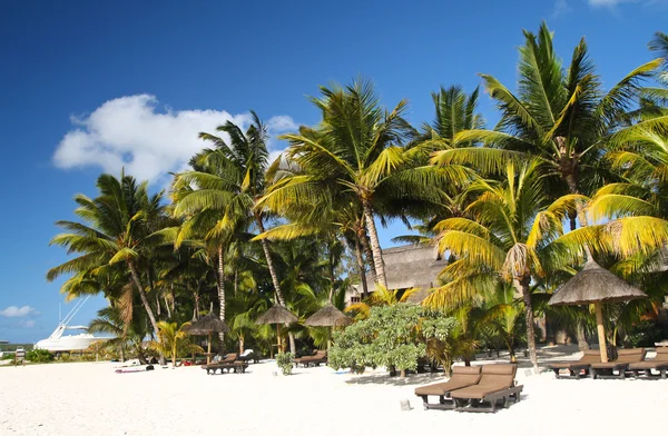 Тропический пляж с белым песком, пальмами и зонтиками — стоковое фото