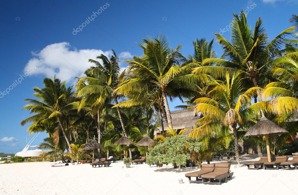 Tropical beach with white sand, palm trees and sun umbrellas