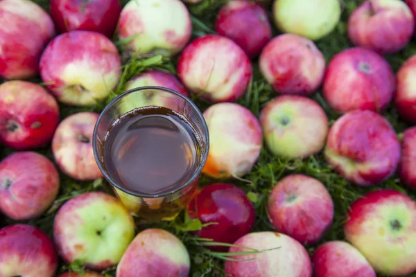 Manzanas con un vaso de jugo — Foto de Stock