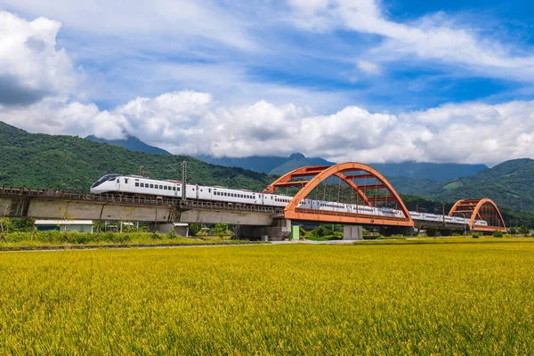 Γέφυρα Kecheng Κοντά Στο Σιδηροδρομικό Σταθμό Του Γιούλι Στο Hualien — Φωτογραφία Αρχείου