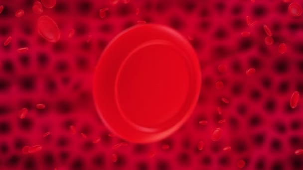 Cellules sanguines - virus 