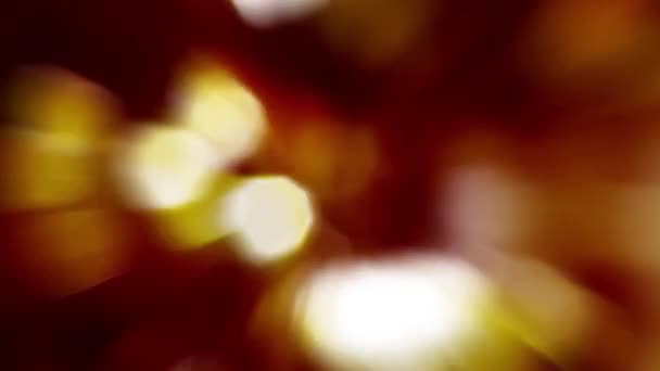 Fond - Animation - spectacle de lumière - Bokeh 