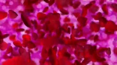 Hearts - bokeh - bahar