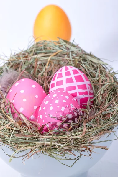 Easter eggs in the nest — Stock Photo, Image