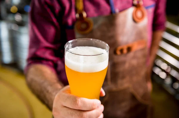 Jonge brouwer met een leren schort test bier in een moderne brouwerij — Stockfoto