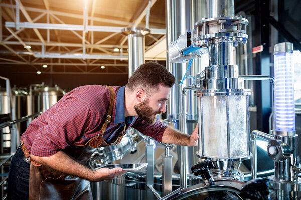 Молодой пивовар в кожаном фартуке контролирует процесс брожения пива на современном пивоваренном заводе