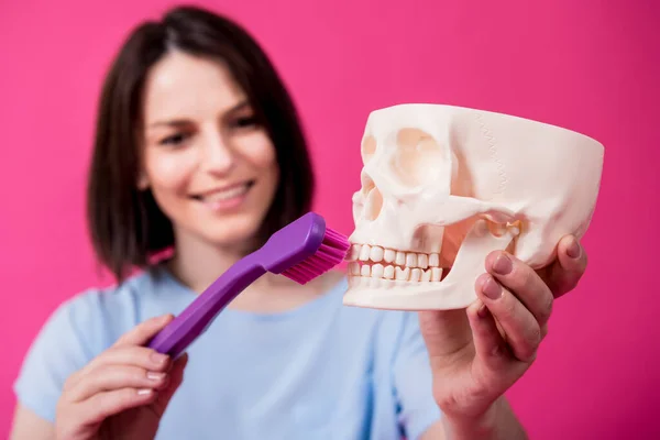 Beautiful woman brushing teeth of an artificial skull using a large toothbrush — Stock Photo, Image
