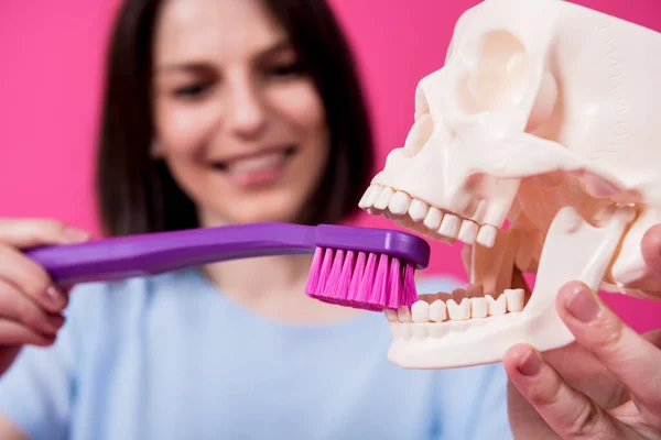 Beautiful woman brushing teeth of an artificial skull using a large toothbrush