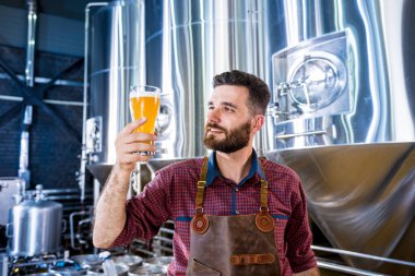 Deri önlük giyen genç bira imalathanesinde bira test ediyor.