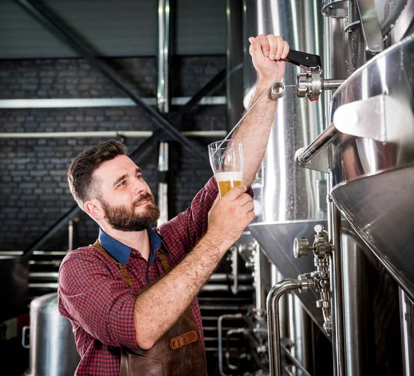 Jonge brouwer met een leren schort test bier in een moderne brouwerij — Stockfoto