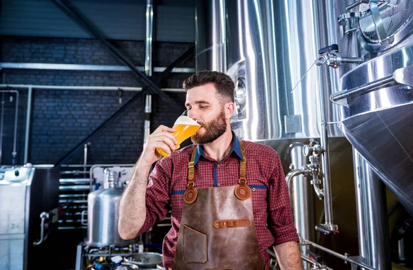 A bőrkötényt viselő fiatal sörfőző sört tesztel egy modern sörfőzdében. — Stock Fotó
