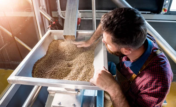 Een jonge brouwer in een leren schort controleert het malen van moutzaden in een molen in een moderne brouwerij — Stockfoto
