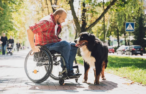 Feliz joven con discapacidad física en silla de ruedas con su perro. —  Fotos de Stock