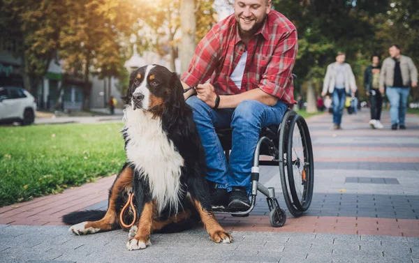 Köpeğiyle birlikte tekerlekli sandalyede fiziksel engelli mutlu bir genç adam.. — Stok fotoğraf