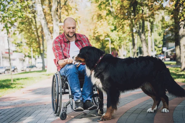 Köpeğiyle birlikte tekerlekli sandalyede fiziksel engelli mutlu bir genç adam.. — Stok fotoğraf