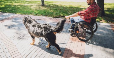 Köpeğiyle birlikte tekerlekli sandalyede fiziksel engelli mutlu bir genç adam..
