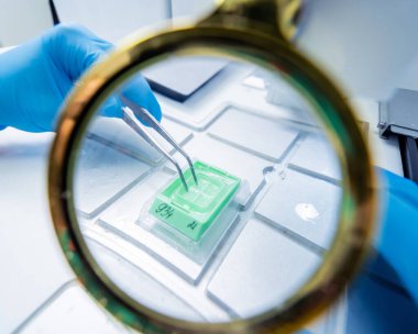 Laboratuvar asistanı parafin ağda doku yerleştirme makinesinde çalışıyor..