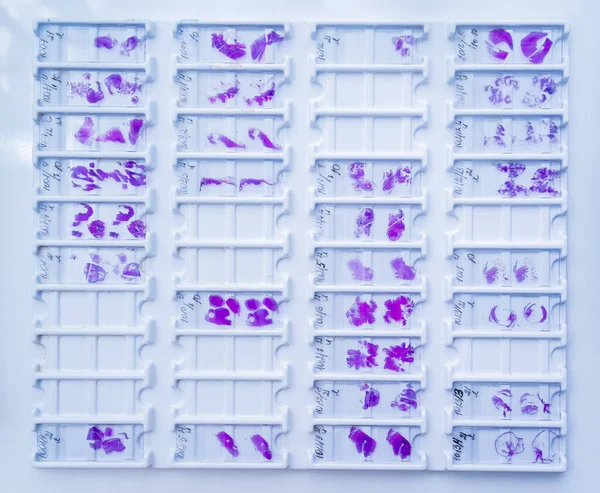 Rzędy szkieł mikroskopowych w komórkach — Zdjęcie stockowe