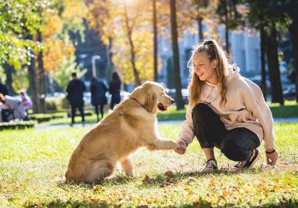 Ägaren spelar golden retriever hund i parken. — Stockfoto