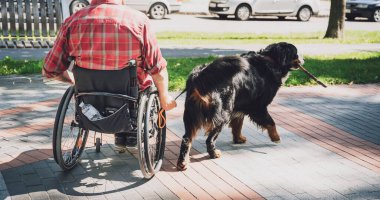 Köpeğiyle birlikte tekerlekli sandalyede fiziksel engelli mutlu bir genç adam..