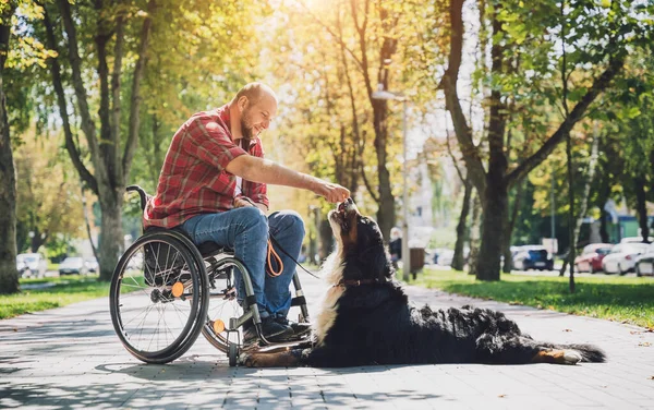 Happy young man with a physical disability in a wheelchair with his dog. — Stock Photo, Image