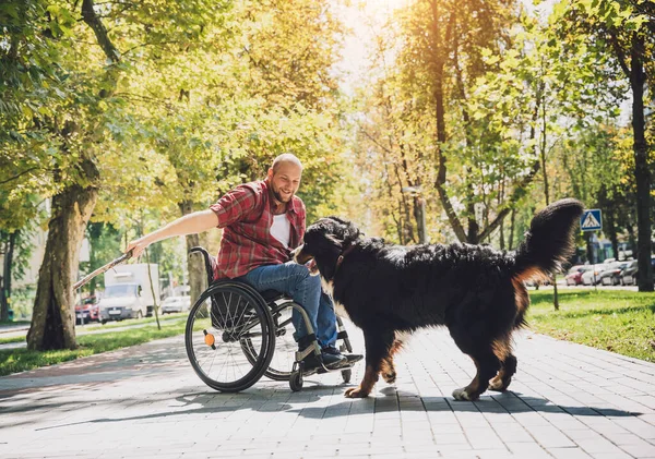 Happy young man with a physical disability in a wheelchair with his dog. — Stock Photo, Image