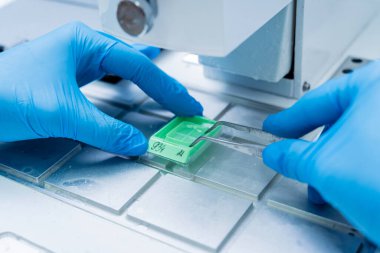 Laboratuvar asistanı parafin ağda doku yerleştirme makinesinde çalışıyor..