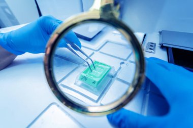 Laboratuvar asistanı parafin ağda doku yerleştirme makinesinde çalışıyor..