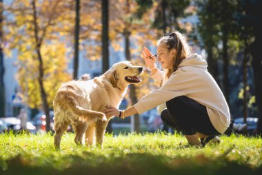 Sahibi parkta golden retriever köpeği oynuyor..